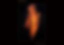 Mind Burns Alive Cover