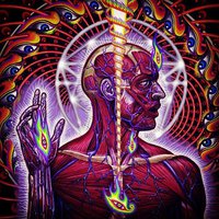 Lateralus
